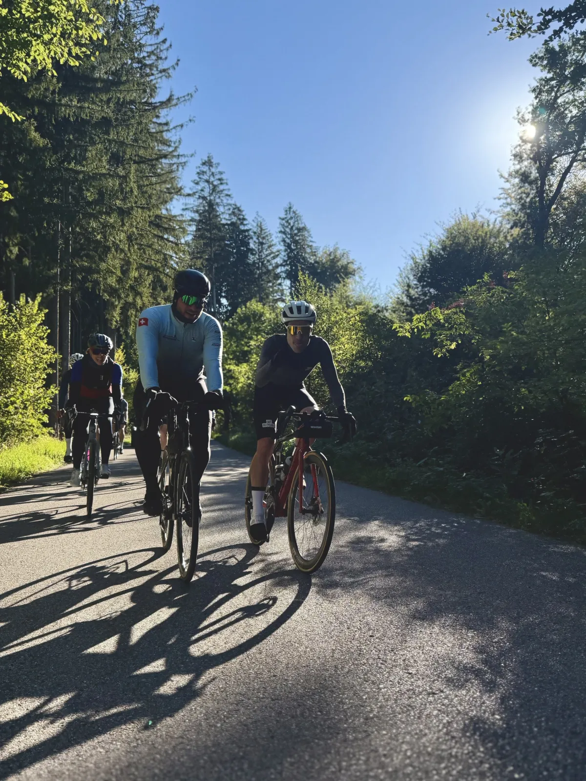 Groupleader von vorne unten im Gegenlicht im Waldstück