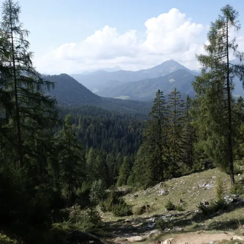 Blick auf den Abstieg Richtung Kala Alm